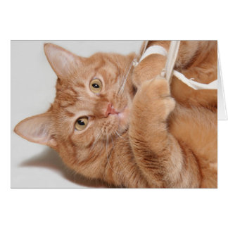 Play with me