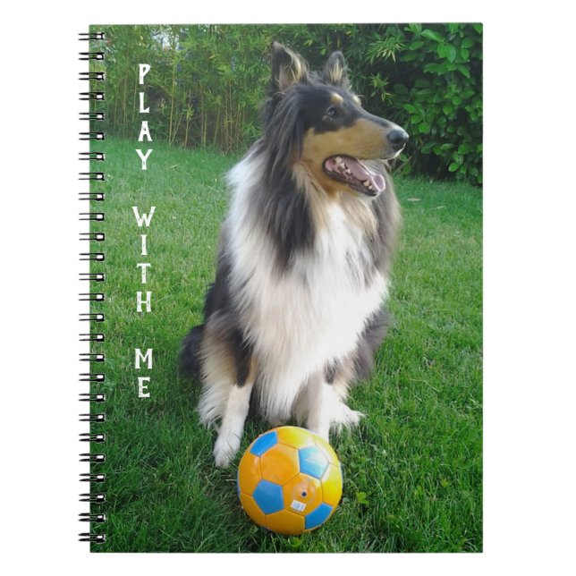 Play with me. Fans de football. Notebook (Front)