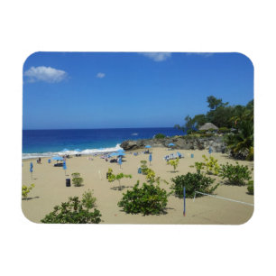 PLAYA ALCIA BEACH SOSUA DOMINICAN REPUBLIC SURF OC MAGNET