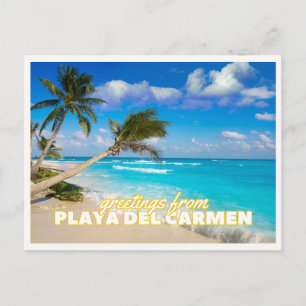 Playa Del Carmen Mexico Tropical Beach Vintage Postcard
