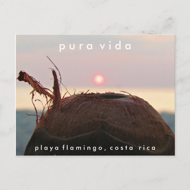 Playa Flamingo Sunset Coconut Costa Rica Postcard (Front)