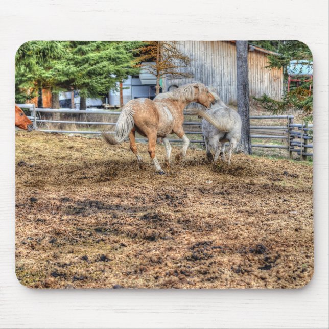 Playfighting Palomino & White Ranch Horse Mouse Mat (Front)