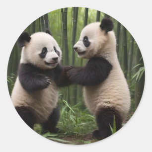 Playful Baby Pandas In A Bamboo Forest,  Classic Round Sticker