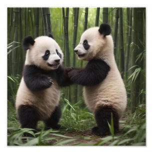 Playful Baby Pandas In A Bamboo Forest, Photo Print
