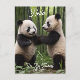 Playful Baby Pandas In A Bamboo Forest,  Postcard