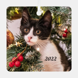 Playful Black and White Cat in Christmas Tree Metal Tree Decoration