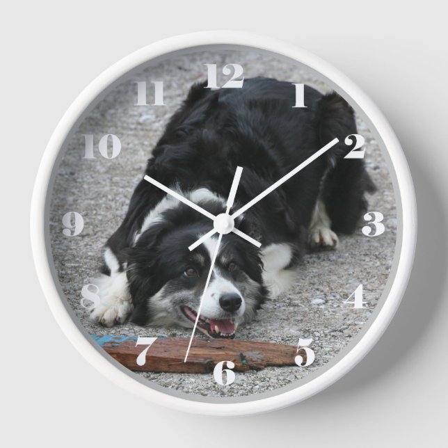 Playful Border Collie Sheep Dog Clock (Front)