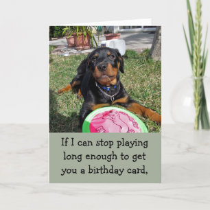 Playful Bossy Rottweiler Birthday Card