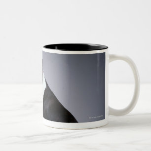 Playful Boston Terriers Two-Tone Coffee Mug