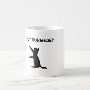 Playful Burmese Cat with 'Got Burmese?' Text Coffee Mug