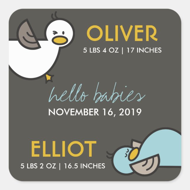 Playful Cartoon Ducks Twin Boys New Baby Stickers (Front)