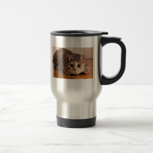 Playful Cat Mug