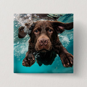 Playful Chocolate Labrador Swimming Underwater 15 Cm Square Badge