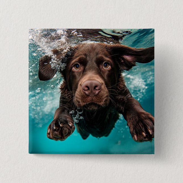 Playful Chocolate Labrador Swimming Underwater 15 Cm Square Badge (Front)