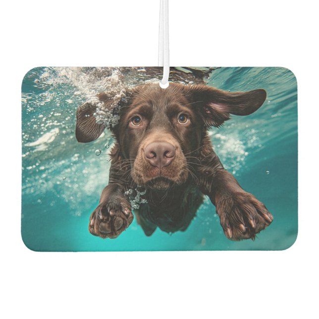 Playful Chocolate Labrador Swimming Underwater Car Air Freshener (Front)