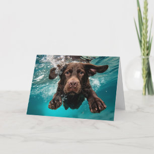 Playful Chocolate Labrador Swimming Underwater Card