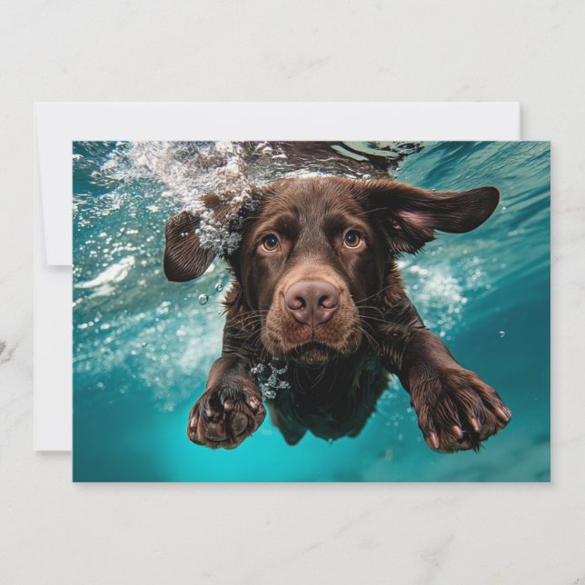 Playful Chocolate Labrador Swimming Underwater Card (Front)