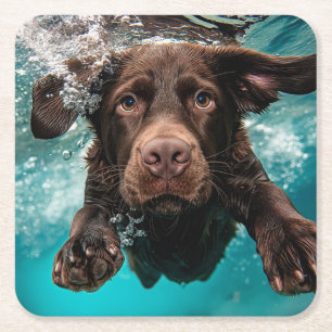 Playful Chocolate Labrador Swimming Underwater Square Paper Coaster