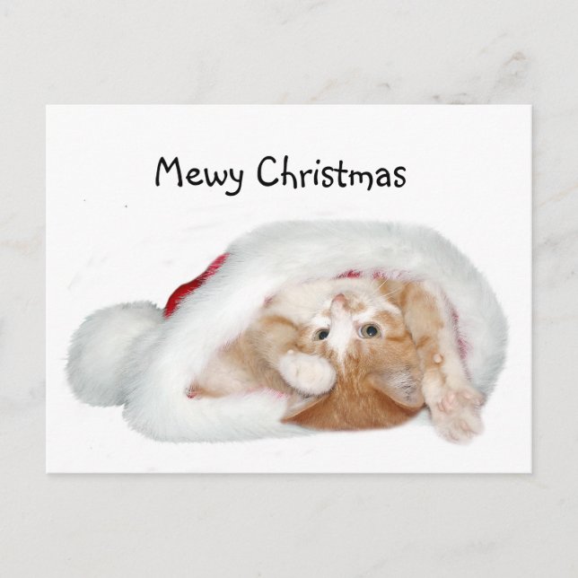 Playful Christmas kitten Holiday Postcard (Front)
