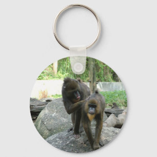Playful, cute, smart and friendly baboons key ring