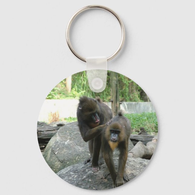 Playful, cute, smart and friendly baboons key ring (Front)