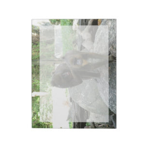 Playful, cute, smart and friendly baboons notepad