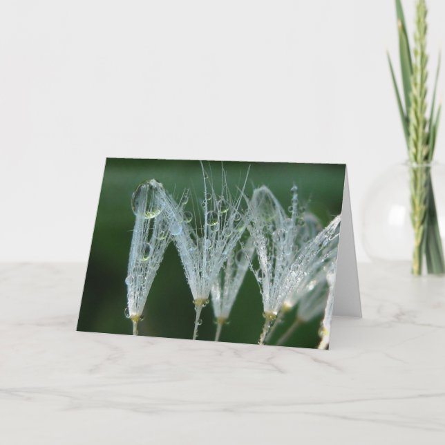 Playful Dandelion With Dew Poetry of Nature Card (Front)