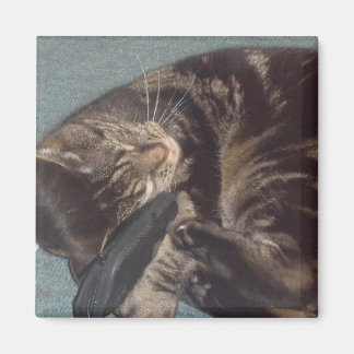 Playful Dave 5.1 Cm Square Magnet