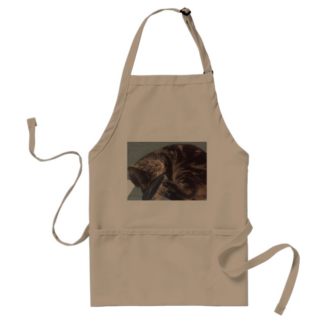 Playful Dave Adult Apron's Standard Apron (Front)