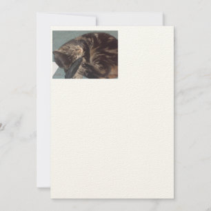 Playful Dave Artisan: Felt Ecru Invitations