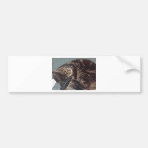Playful Dave Bumper Sticker