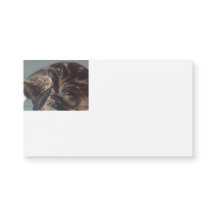 Playful Dave Magnetic Business Cards (25 Pack)