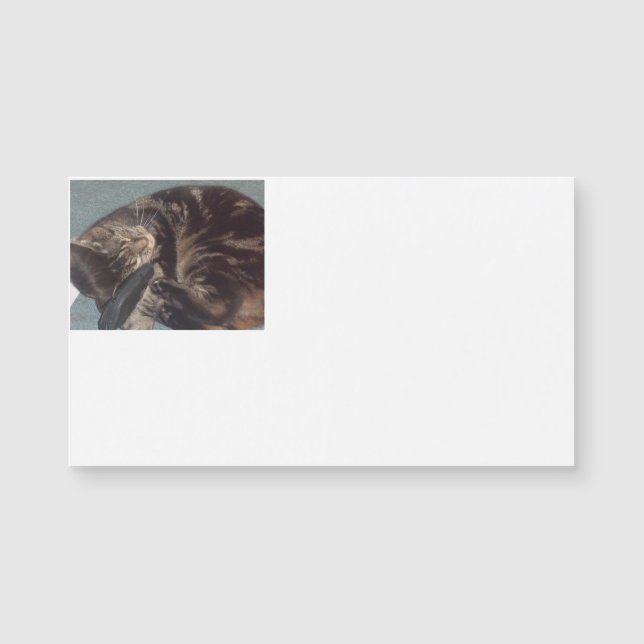 Playful Dave Magnetic Business Cards (25 Pack) (Front)