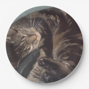 Playful Dave Paper Plates
