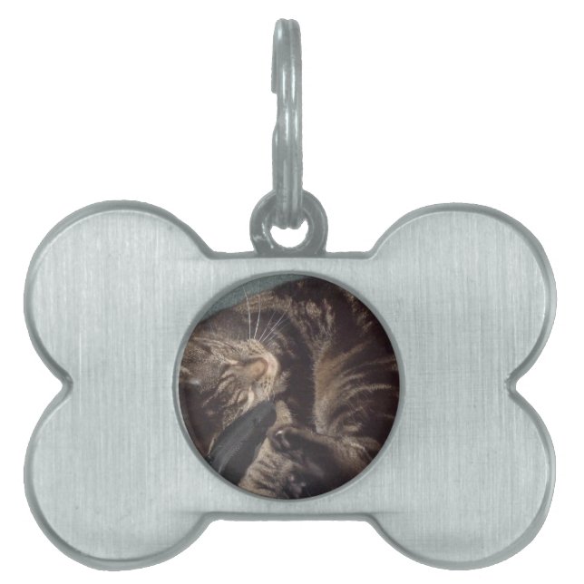 Playful Dave Pet Tag (Front)