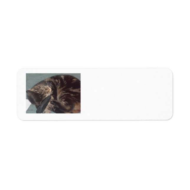 Playful Dave Return Address Labels (30 on a sheet) (Front)