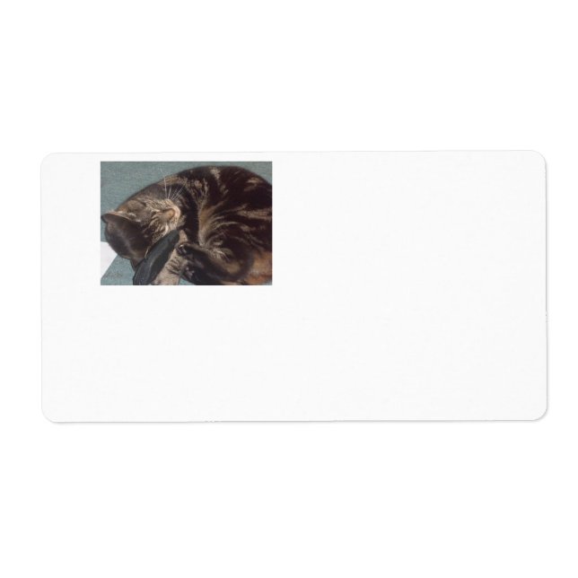 Playful Dave Shipping Labels (8 on a sheet) (Front)