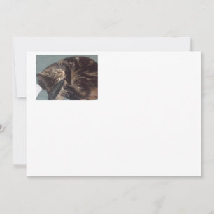 Playful Dave Signature: Matte Invitations