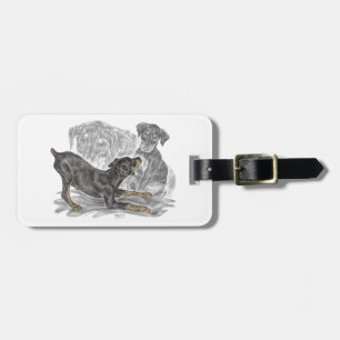 Playful Doberman Pinscher Puppies Luggage Tag