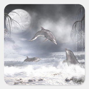 Playful dolphins square sticker