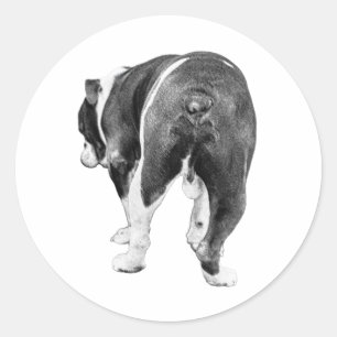 Playful Exit, Feathered Winter Shading Classic Round Sticker