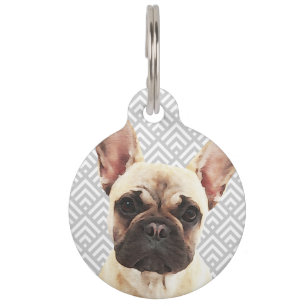 Playful French Bulldog Pet Tag