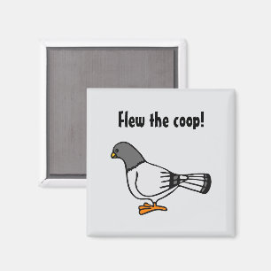 Playful Gray Pigeon Cartoon New Address Postcard Magnet