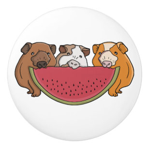 Playful Guinea Pigs and Watermelon Illustration Ceramic Knob