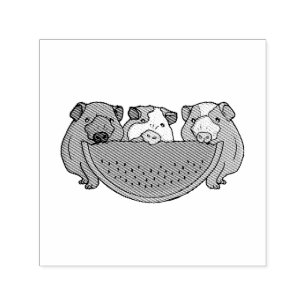 Playful Guinea Pigs and Watermelon Illustration Self-inking Stamp
