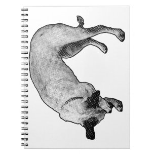 Playful Hush Notes Notebook