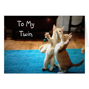 PLAYFUL KITTENS *HAPPY BIRTHDAY"