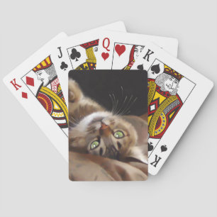 Playful Kitty Card Deck