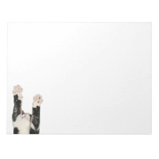 Playful kitty cat notepad