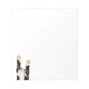Playful kitty cat notepad